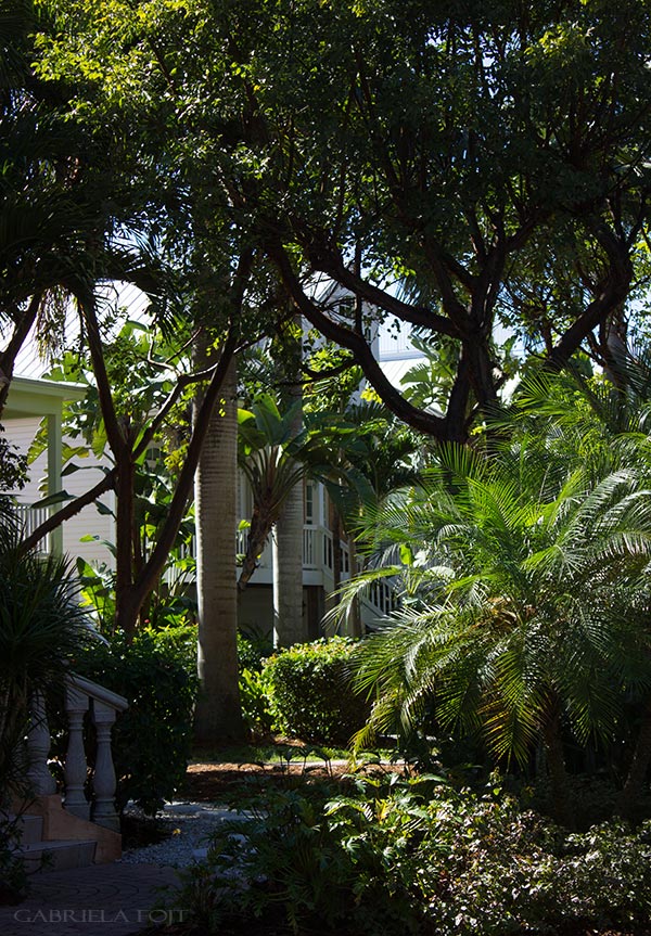 Landscape architecture and garden design in Fort Lauderdale, Miami, Boca Raton, Palm Beach