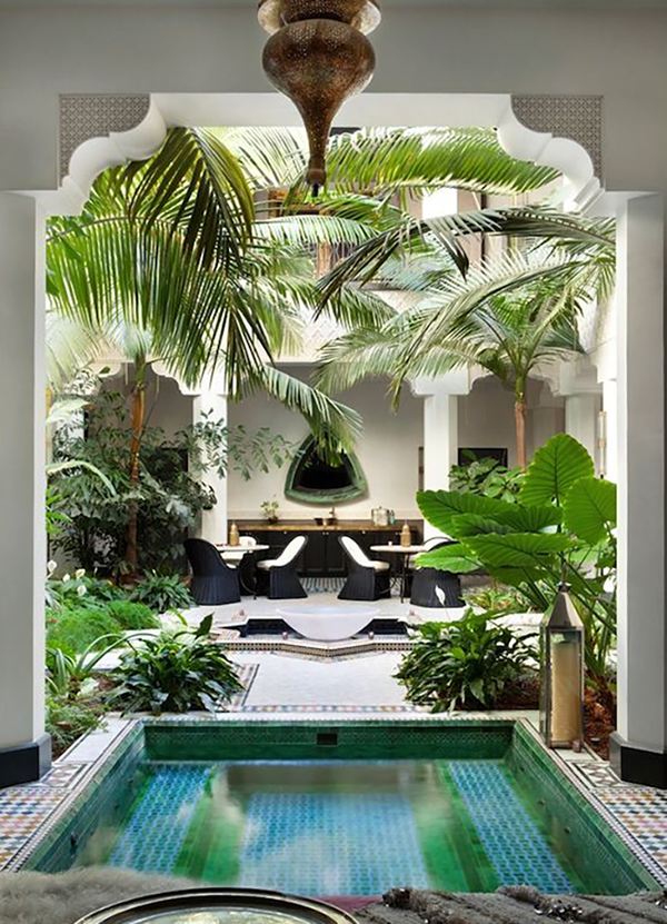 Garden and landscape design ideas for South Florida