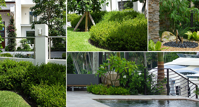 Landscape architect in Fort Lauderdale, Miami, Boca Raton, Palm Beach
