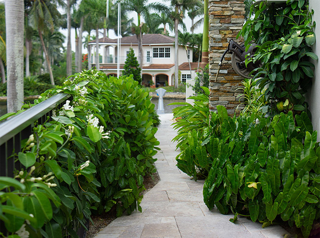 Landscape architect in Fort lauderddale, Florida