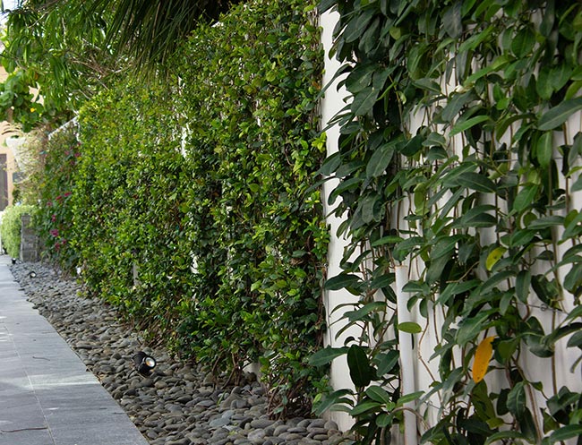 Landscape architect in Fort Lauderdale, Miami, Boca Raton and Palm Beach