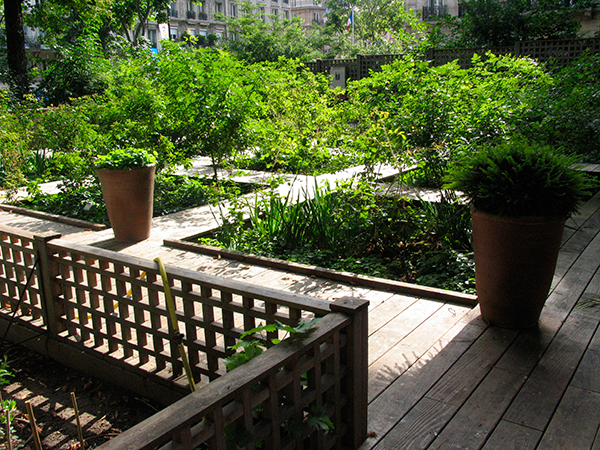 Healing and terapeutic gardens in hospital's history