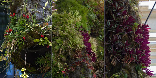 Landscaped architetcure and garden design in Miami, Florida