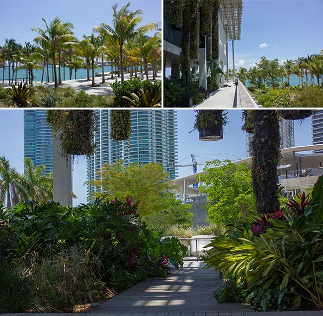 Landscaped architetcure and garden design in Miami, Florida