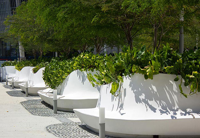 Landscaped architetcure and garden design in Miami, Florida