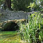 Florida garden design ideas