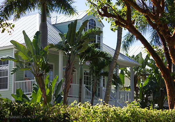 Landscape architecture and garden design in Fort Lauderdale, Miami, Boca Raton, Palm Beach