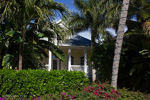 Landscape architecture and garden design in Fort Lauderdale, Miami, Boca Raton, Palm Beach