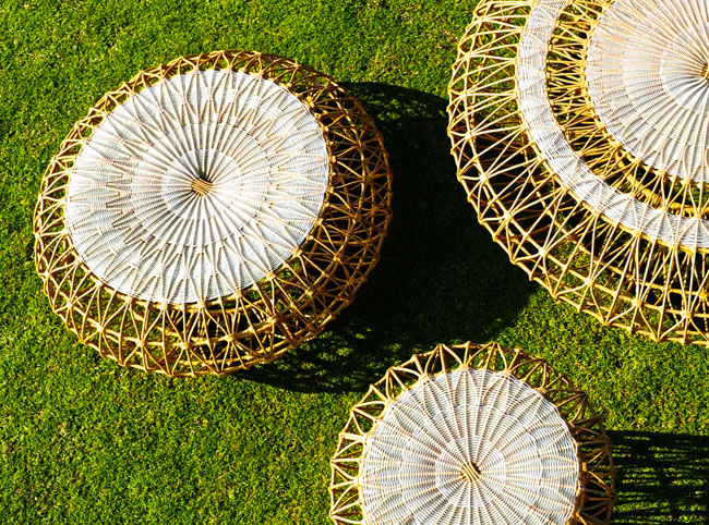 Garden ideas for South Florida