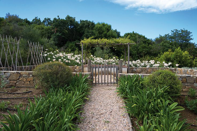 Florida landscaping ideas