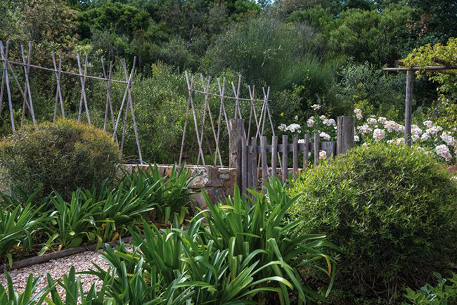 Florida landscaping ideas