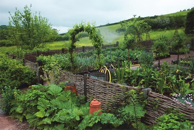 Landscaping ideas for South Florida