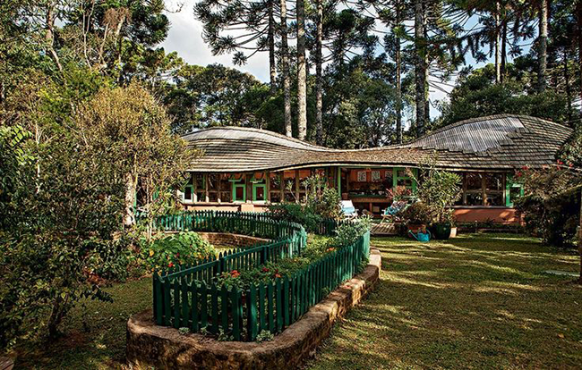 Florida landscaping ideas