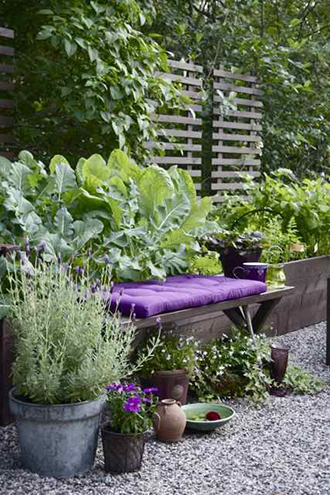 Florida landscaping ideas