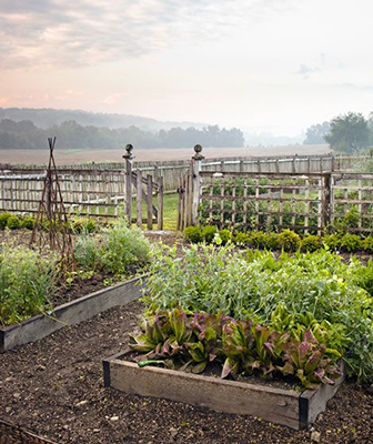 Florida landscaping ideas