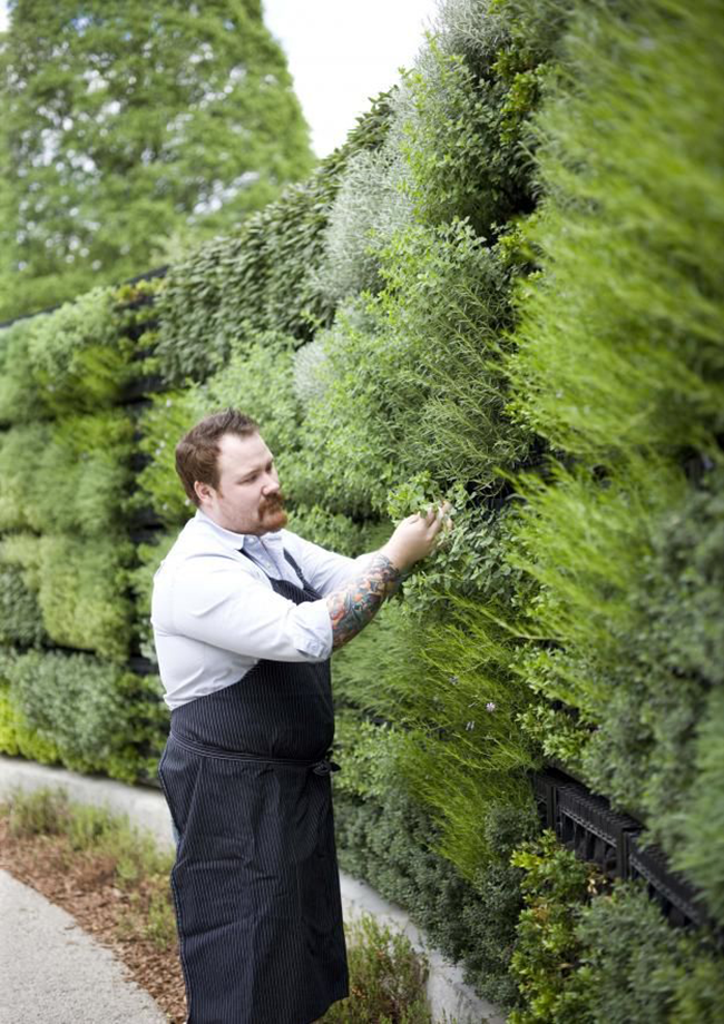 Florida landscaping ideas