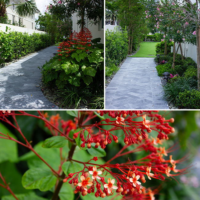 Landscape architect in Fort Lauderdale, Miami, Boca Raton and Palm Beach