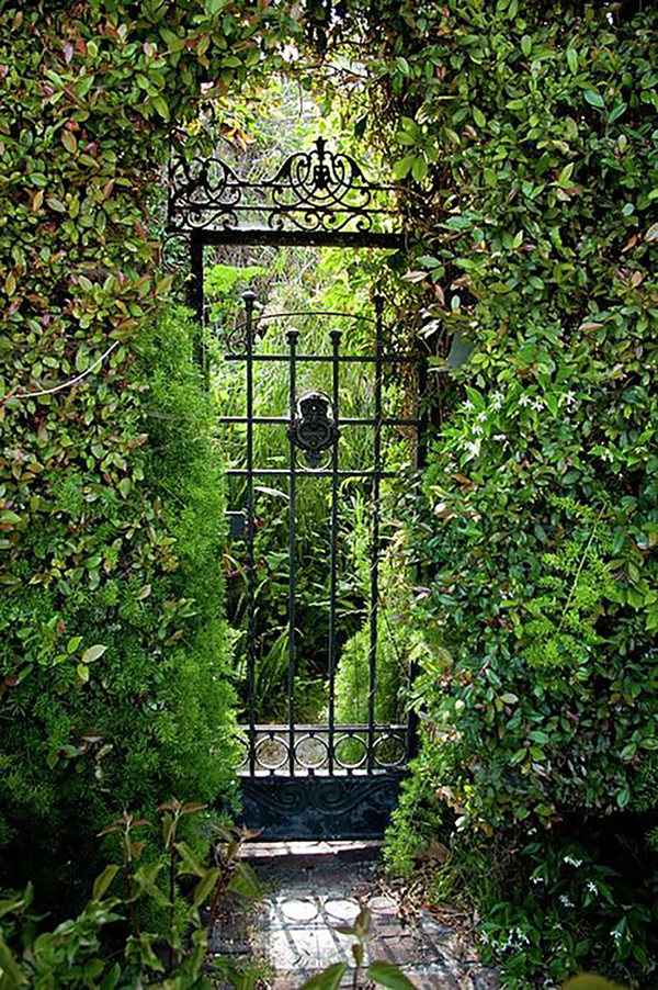 Garden and landscaping ideas for Florida