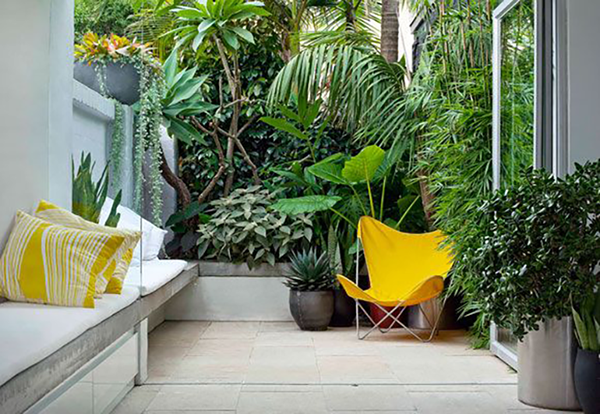 Garden and landscape design ideas for South Florida