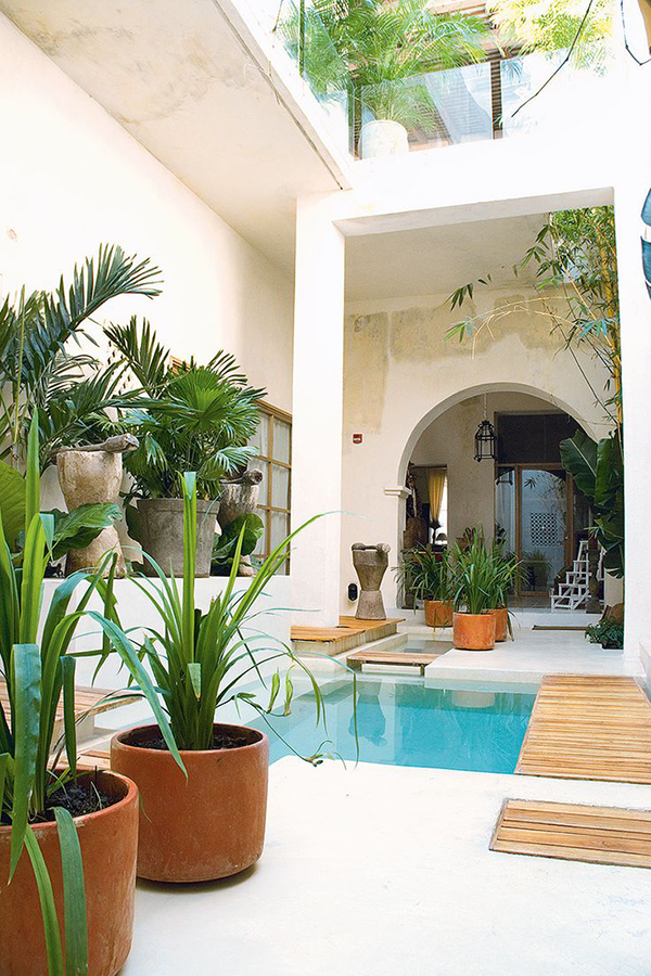 Garden and landscape design ideas for South Florida